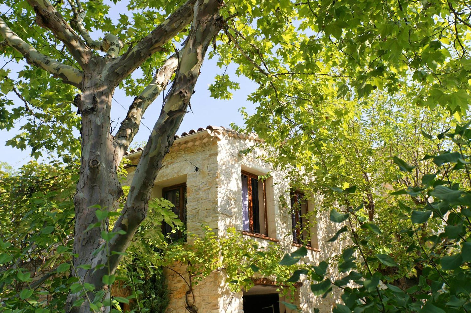 Les Maisons De Chante Oiseau Sigonce Esterno foto