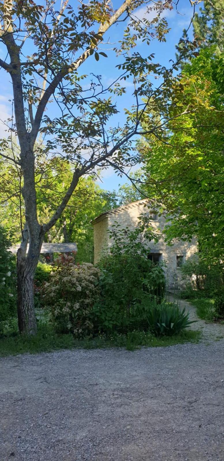 Les Maisons De Chante Oiseau Sigonce Esterno foto