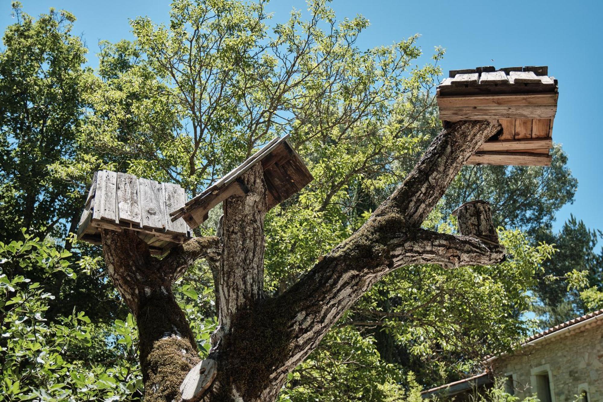 Les Maisons De Chante Oiseau Sigonce Esterno foto